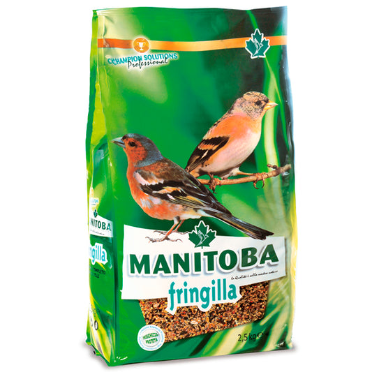 Manitoba Fringilha 2,5kg