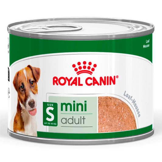 Royal Canin Mini Adult Pate - Alimentos molhados para cães de raça pequena, 195G pode